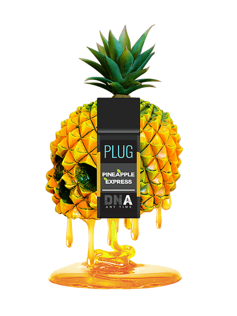 Pineapple Express Plug Play